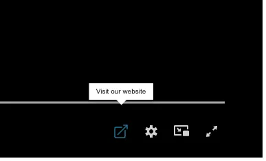 Tooltip shown on button hover Chapters Form