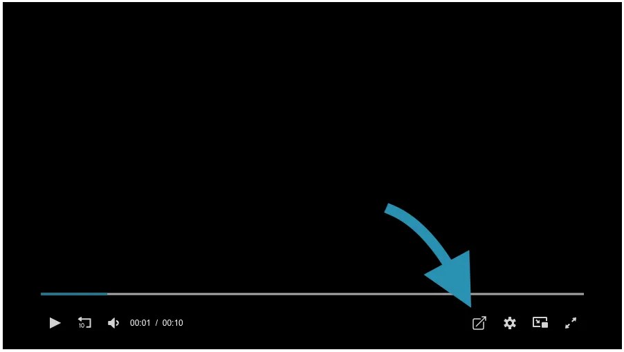 Custom Button on video player Chapters Form
